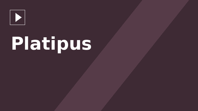 Platipus